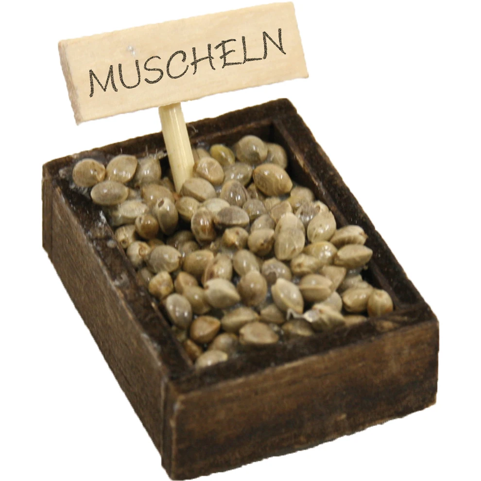 ZICOM Shell Box Nativity Scene Accessories Germany Approx. 4.3cm Length Decorative Objects (9069-Z505)