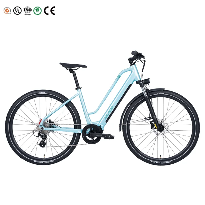 Zhuifeng 700C 36V 360W Lithium Battery Central Motor 8 Speed Hydraulic Disc Brake Customizable Electric City Bicycle