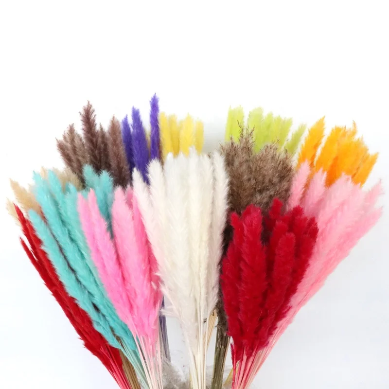 Wholesale Natural Dried Flowers Small Natural Pampas Grass Wedding Wall Decoration Home Arrangement Office Baby Pampas