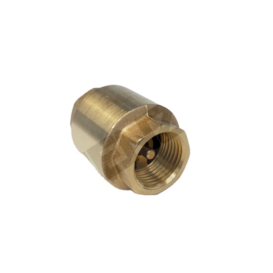 1/2" 3/4" 1" 11/2" 2" Threaded Brass Lift Type Check Valve Vertical Spring Loaded