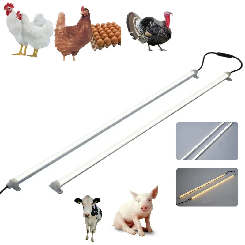 0.1%-100% Dimming Without Flicker Dimmable Led Tube Waterproof Red White Led Poultry Lights for Chicken