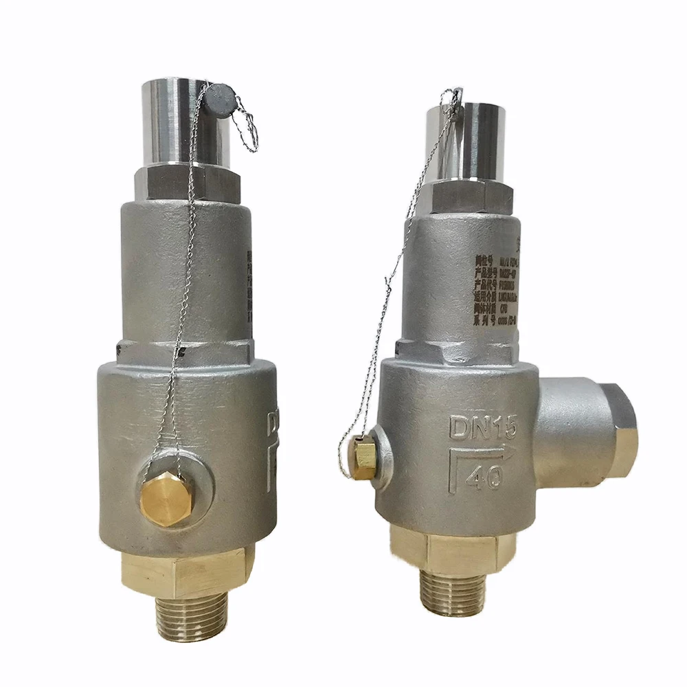 -196 Degree Stainless Steel 304 1/2inch 5Mpa NPT Cryogenic Relief Valve Spring Loaded Safety Valve for LOX