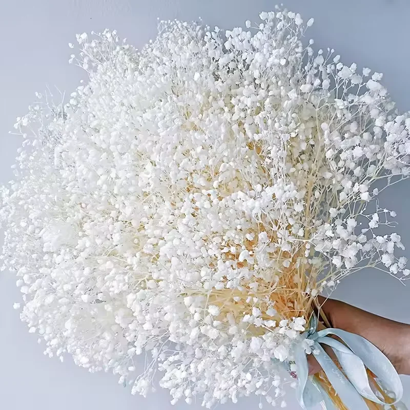 Wholesale Natural Gypsophila Bleached White Preserved Baby Breath Babi Breath Wedding Mother's Day Christmas Yunnan Flower