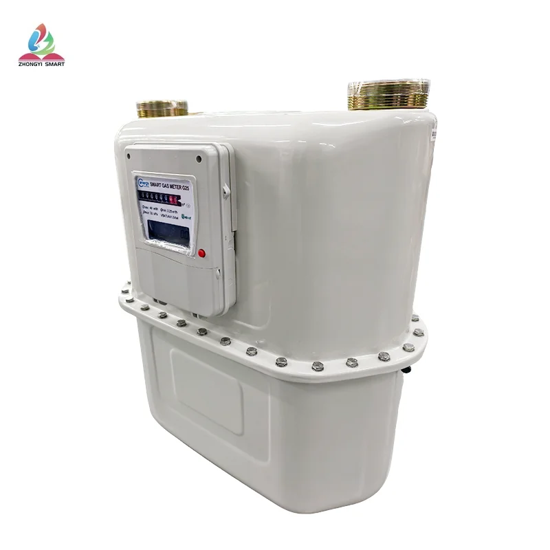 ZHONGYI RS485 Smart Commercial Gas Meter - Industrial Kitchen, Stainless Steel, Digital, G6-G65